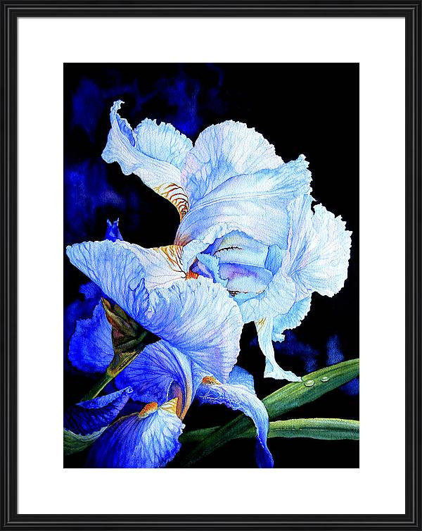 Blue Iris Paintings