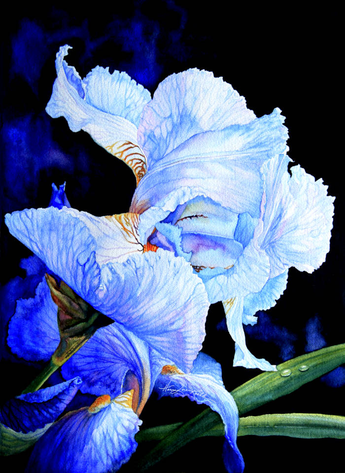 Iris Painting