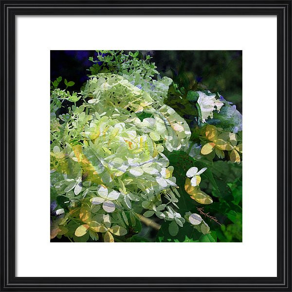 White Abstract Hydrangea Digital Painting