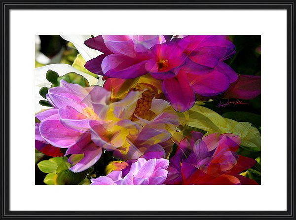 Digital Photo Abstract Flower Art