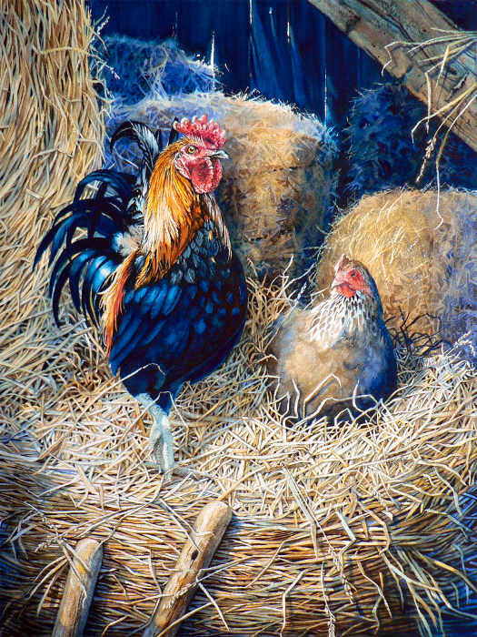 Rooster and chicken painting