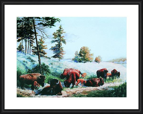 wildlife painting of a buffalo herd
