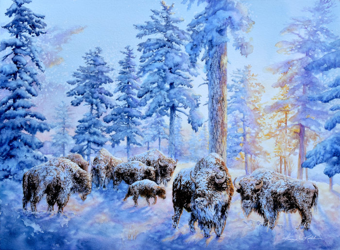 wildlife painting of a buffalo herd