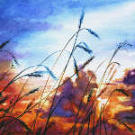 colorful painting of wheatfield  prairie sky