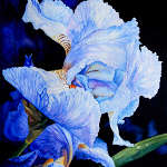 Painting Acrylic Flowers A-Z images by Hanne Lore Koehler