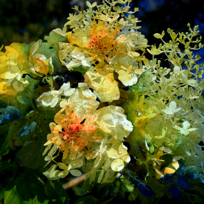 digital painting of white flowers