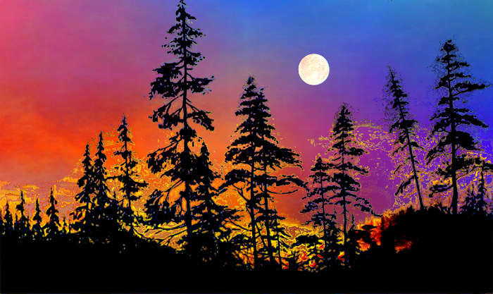 sunset silhouette landscape wall mural