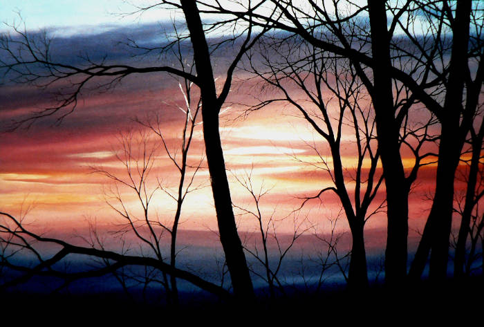 autumn sunset tree mural