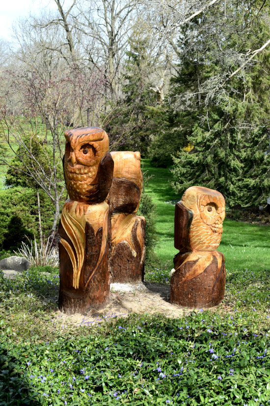 Chainsaw Owl Carving