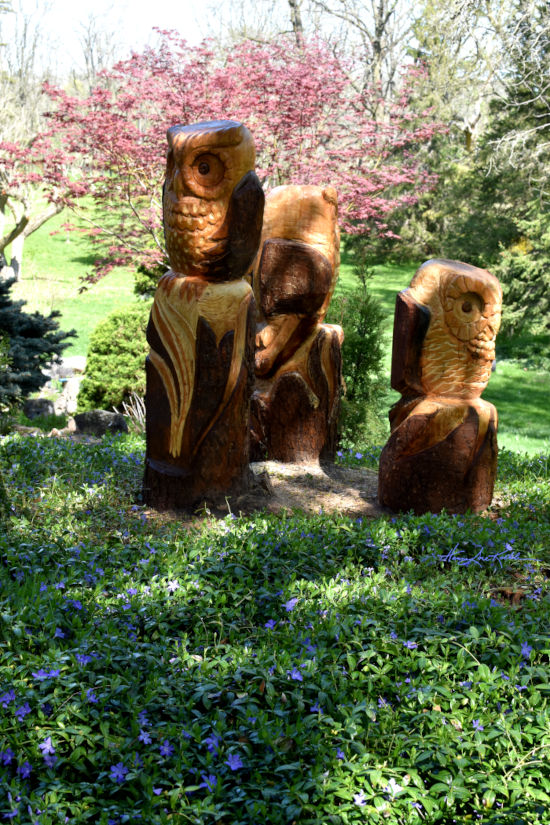 Owl Chainsaw Carving