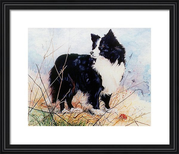 painted dog portrait of a Border Collie