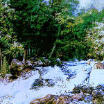 fisherman fishing in river