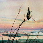 milkweed pod in dune grass with lake sunset