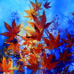 painting of vibrant colorful autumn maple leaves
