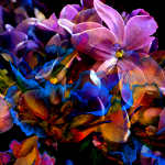 watercolor and digital art flower garden