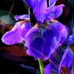 Purple Iris Digital Painting