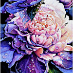 Peony Watercolor