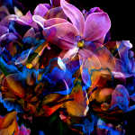 Artistic digital flower painting