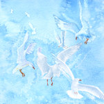Seagulls Watercolor