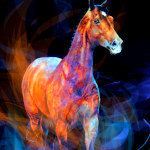 Spirit Of A Champion